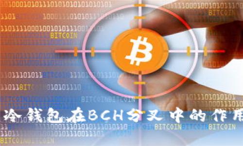 全面解析：冷钱包在BCH分叉中的作用与安全性