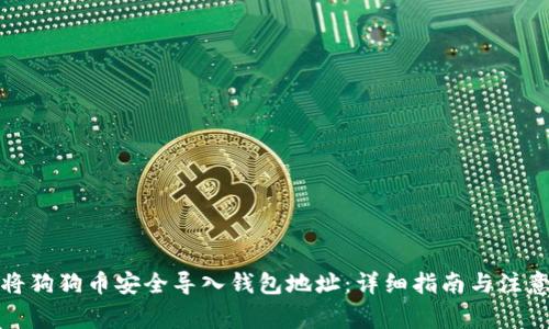 如何将狗狗币安全导入钱包地址：详细指南与注意事项